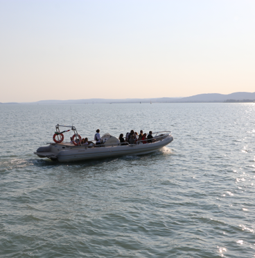 Balaton, Speed boat élmény